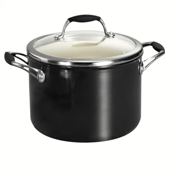 Ceramica Deluxe 6 Quart Ceramic Stock Pot with Lid